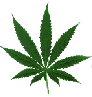 weed.gif